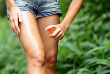 Đối phó với côn trùng cắn khi đi du lịch